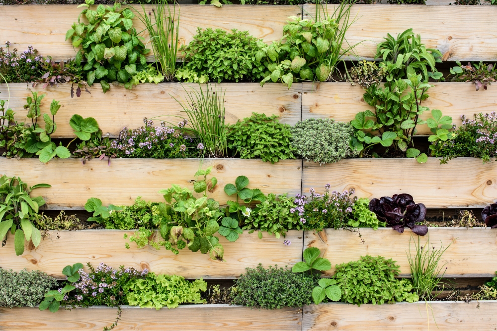 jardines verticales en el diseño biofílico - Proyecto Vio - Reformas Integrales Oviedo Asturias